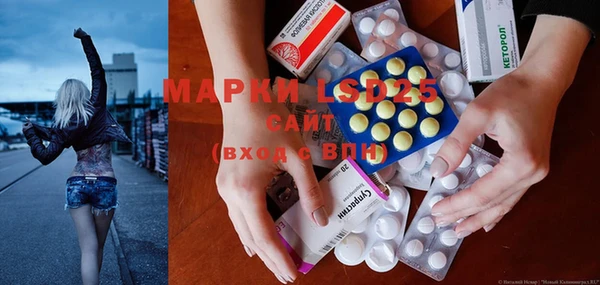 прущие грибы Алексин