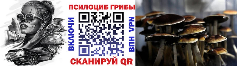 даркнет как зайти  Бирюсинск  Галлюциногенные грибы Cubensis  kraken ТОР 
